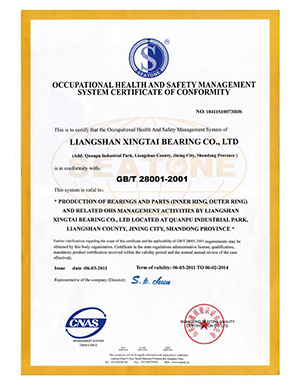 Occupational health and safety management system certification