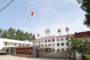 Shandong Xingtai Bearing